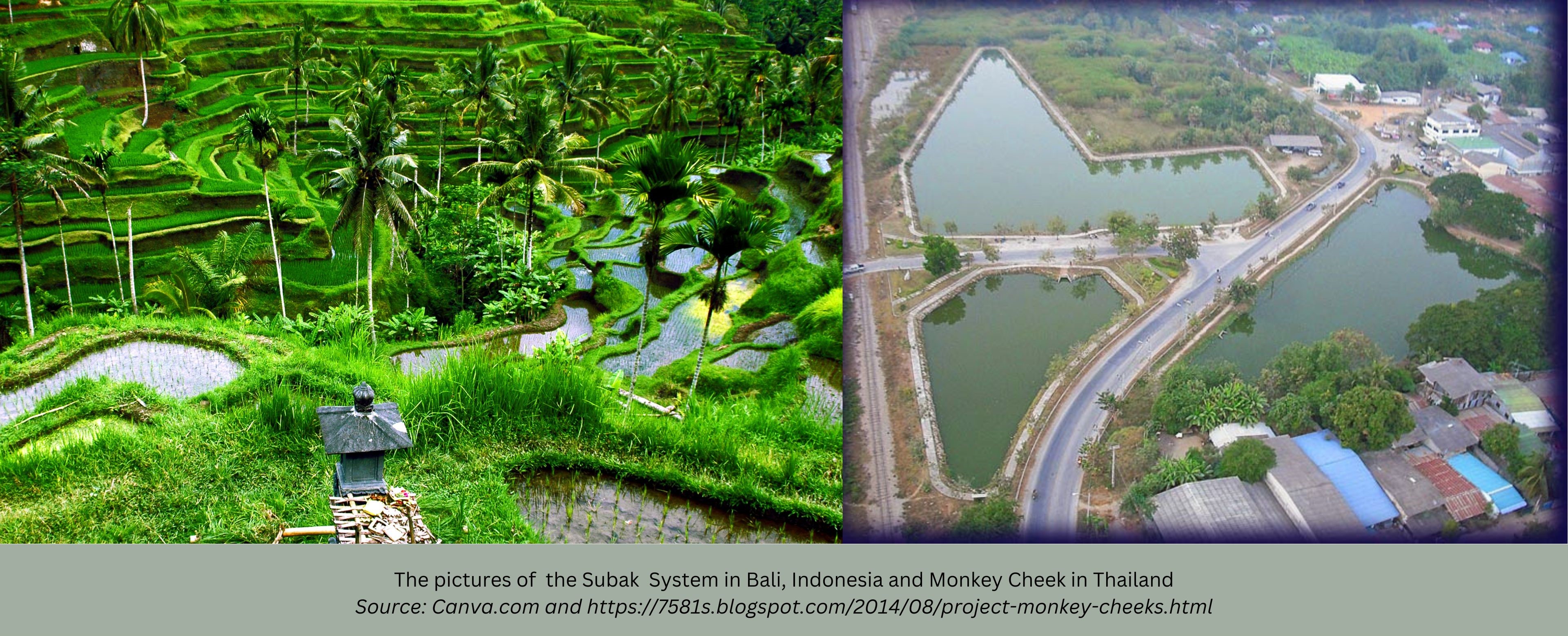 Cultural Resilience: Social Science Perspectives on Traditional Water Practices in Southeast Asia